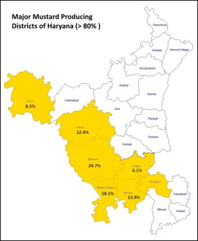 mapmustardharyana.jpg